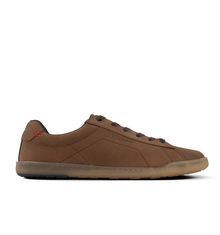 BLSN-100M brown BLSN-100M brown
