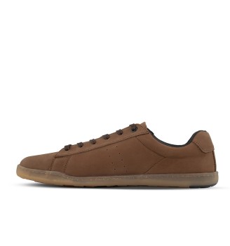 BLSN-100M brown