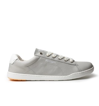 BLSN-100W gris