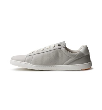 BLSN-100W gris