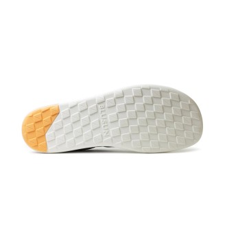 BLSN-100W gris